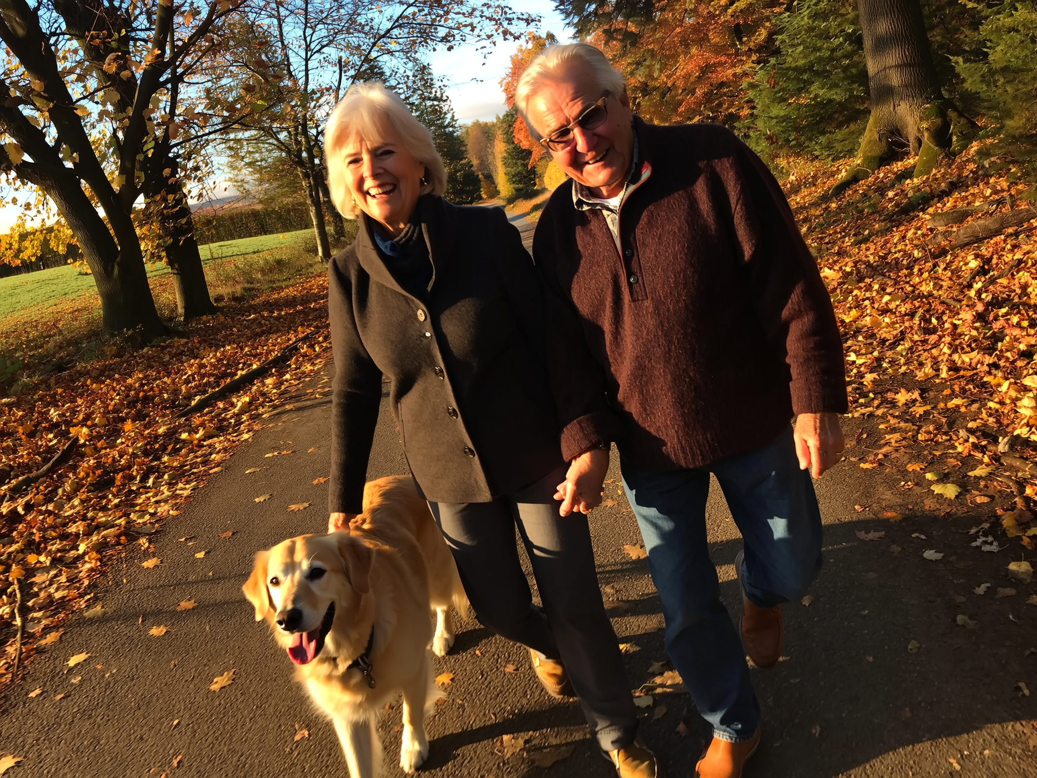 Senior couple walking golden retriever on autumn path